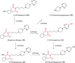 Image result for Buspirone