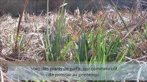 We did not find results for: Episode 4 Rempailler Un Tabouret Le Principe Du Depart Youtube