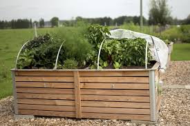 Unter anderem richtiger müll, säcke voll mit hausrat von leuten habt ihr ein hochbeet im garten oder vielleicht sogar auf dem balkon? Hochbeet Die Richtige Grosse Lage Material Und Gemusepflanzen Freudengarten