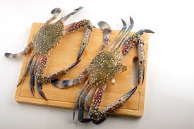 It maybe owes their name to the fruits of the country like nandu feathers, leathers, skins and sows of wild animals whose traffic was frequent for this place. Blue Crab Buy Online Fresh Kadal Nandu Home Delivery