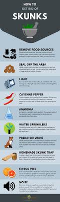 How To Get Rid Of Skunks Getting Rid Of Skunks Remedies Home Remedies