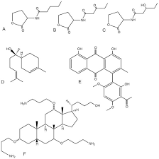 Topical Antimicrobials For Burn Infections An Update Abstract Europe Pmc