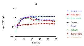 Image result for Dissotis swynnertonii