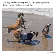 Better known by his nickname el risitas, meaning giggles, the comedian became. Adding Medieval Weapons To Dogs Playing On The Beach Needs To Become A Thing Meme Memezila Com
