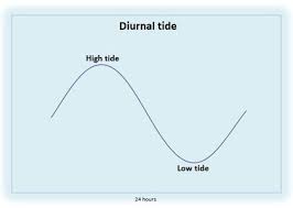 Tides Marine Science Australia