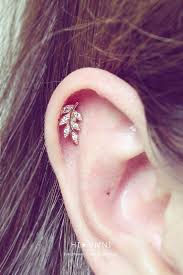 16g blatt knorpel ohrring cz ohrstecker helix muschel tragus blatt helix knor 16g blatt cz helix kno cartilago ohrringe ohrstecker tragus ohrringe