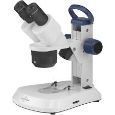 accu scope stereo microscope