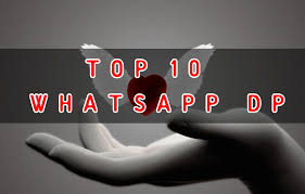 Check spelling or type a new query. Top 10 Whatsapp Dp Whats App Image For Whatsapp Dp 1115x710 Wallpaper Teahub Io