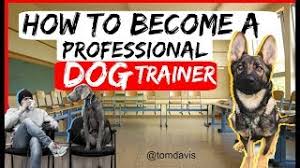Maybe you would like to learn more about one of these? Dog Trainer Training Here S What You Need To Know Dogbible