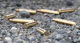 The rifle is well built and comes in a comprehensive range of calibres, including the sizzling 257 weatherby magnum. The 300 Win Mag Cartridge And What It S Best For