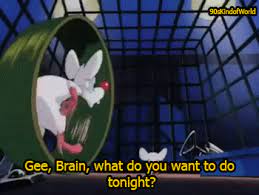 Check spelling or type a new query. Pinky And The Brain Gifs Primo Gif Latest Animated Gifs
