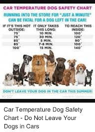 Car Temperature Dog Safety Chart Running Into The Store For