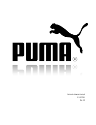 puma organization behaviour and recommendations