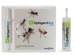 Unfortunately it's not a gd idea around . The Secret To Getting Rid Of Ants Permanently Isn T Harsh Chemicals It S Bait And Traps The Independent The Independent