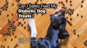 It can make them very sick. Can I Safely Feed My Diabetic Dog Treats 2021 Reviews All Pet S Life