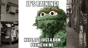 7 Reasons Why Oscar The Grouch Is Depressed Mandatory