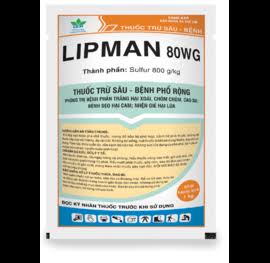 Lipman 80WG