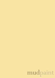 Beautiful Straw Pale Yellow Furniture