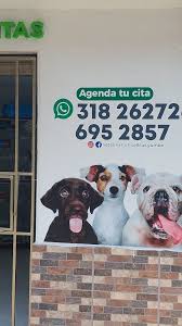 CENTRO MEDICO VETERINARIO YUMBOMASCOTAS