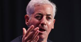 Plato the Dog Helped Reunite 66 Pets with Their Families