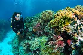 Gambar pemandangan alam terindah di dunia gambargambar co. Pelesir Ke Wakatobi Surga Bawah Laut Terindah Di Dunia Merahputih