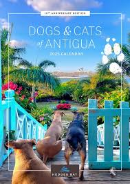 Thank you Stevie Mendes/Barefoot Antigua .