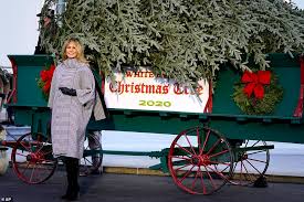 Weeks of planning and decorating with white house staff and volunteers eventually leads to the official reveal, right after thanksgiving. Melania Trump Welcomes White House Christmas Tree For The Last Time Daily Mail Online