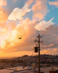 Ming) Ted Chin (@tedslittledream) • Instagram photos and videos