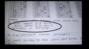 Jumlah keseluruhan soal latihan usbn pjok sma ini berjumlah 90 soal. Jawaban Kocak Ujian Anak Sd Lucu Bikin Ngakak Guling Guling Merdeka Com
