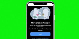 We did not find results for: How To Move Whatsapp Chats From Iphone To Android Screen Rant