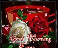 Best good morning wallpaper download , free good morning images , good morning wallpaper with natute , free good morning pic download. Good Morning Love Pictures Photos Images And Pics For Facebook Tumblr Pinterest And Twitter