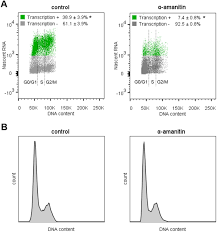 Either a, t, c, or g. Transcription Activity Contributes To The Firing Of Non Constitutive Origins In Trypanosoma Brucei Biorxiv