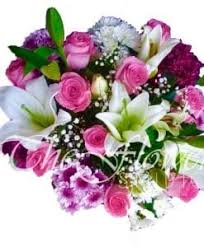 We did not find results for: Send Exquisite Fresh Flowers To Pakistan The Flower Studio