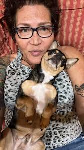 Any advice for a 2-year-old Bassador peeing in the bedroom?