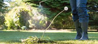Weed Killer How Long Does It Take To Work