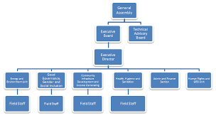 brief description of the organizational structure and its