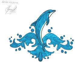 Flamengo tier / flamingos foto & bild | tiere, zoo. Piktura Me Te Bukura Photos Facebook