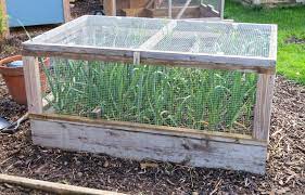 Discover 30+ vegetable garden hacks to make your gardening life easier and cheaper. Po Boy The Garlic Or How To Protect Your Vegetables With A Secure Garden Enclosure Coop Thoughts