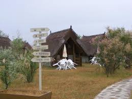 Green village resort**** combines adventure and wild nature with relaxation and comfort, in a unique. Camping Picture Of Green Village Resort Sfantu Gheorghe Tripadvisor