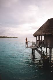 Image result for Moraea inyangani