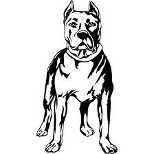 Black And White Pitbull Tattoos Really Gorgeous Black Pitbull For Men Color Black Tags Best Easy Awesome Great Pitbull Tattoo Pitbull Art Dog Tattoos
