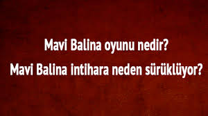 Mavi Balina Intihara Neden Surukluyor Mavi Balina Oyunu Gorevleri Nedir