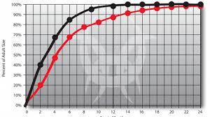 english bulldog growth chart facebook lay chart