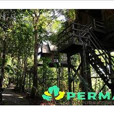 See 318 traveler reviews, 236 candid photos, and great deals for bromo permai i, ranked #9 of 30 hotels in java and rated 3 of 5 at. Hotel Permai Rainforest Resort Santubong Trivago Com My