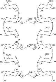 Abstract pectic polysaccharides, a broad class of exopolysaccharides that are made by plants and contain negatively charged sugars, are some of the most complex biomolecules in nature. The Structure Function And Biosynthesis Of Plant Cell Wall Pectic Polysaccharides Sciencedirect