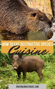 Invasive Species List 10 Destructive Species You Can Eat Invasive Species Species Wildlife Conservation