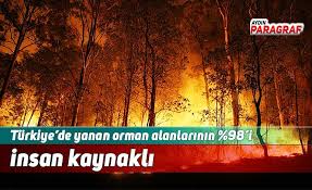 Japonya'da ev yangınları sayısı son yıllarda önceki yıllara göre. Turkiye De Yanan Orman Alanlarinin 98 I Insan Kaynakli Aydin Haberleri Aydin Haber