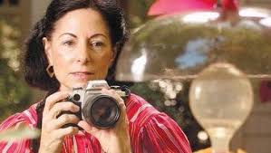 Tiny masters of flight