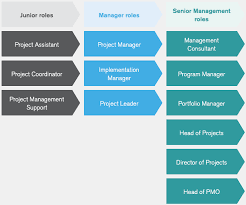 Latest Project Manager Jobs | Hudson
