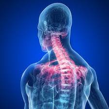 Gravide i karmøy og haugesund får nå et unikt tilbud om tidlig samtale om levevaner med jordmor. Sporsmal Og Svar Nkl Nakke Og Kjeveskaddes Landsforening